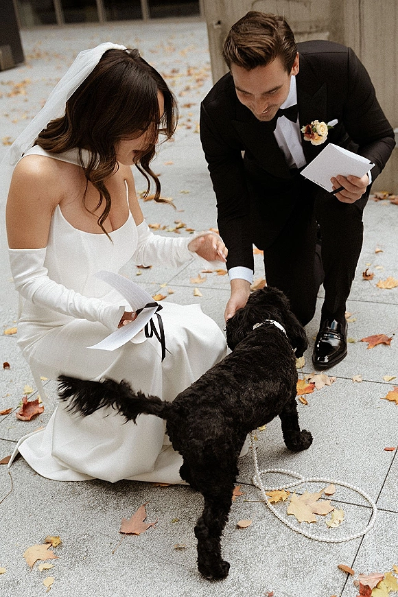Couple with dog in wedding dog photo, bride in veil and gloves and groom in tux kneeling on stone pavement with fallen leaves