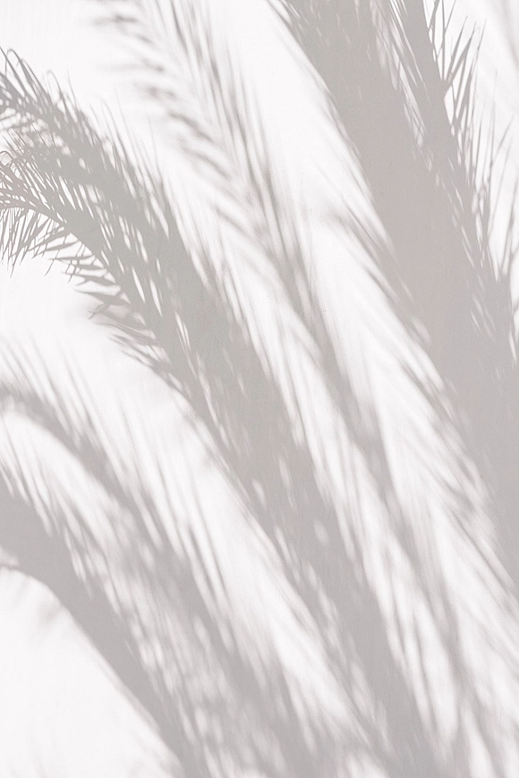 Palm leaf shadows create a palm shadow wall pattern on a sunlit white wall, forming a soft tropical silhouette backdrop