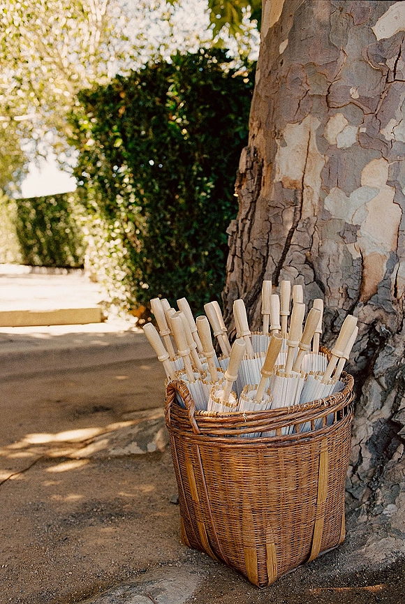 Ceremony programs in a wicker basket with ribbon-tied rolled paper programs on a sunlit garden path near a tree trunk