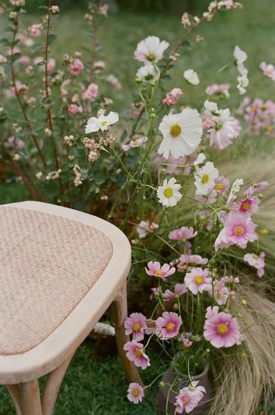 Wedding floral decor with cosmos wedding flowers in pink and white, arranged around a woven cane chair on a grassy garden lawn