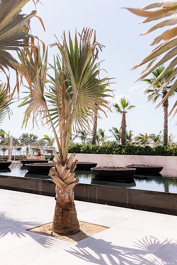 Wedding venue exterior with palm trees and a reflecting pool, planter bowls and string lights under blue sky in a modern courtyard