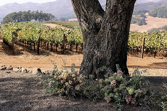 Ceremony floral ground arrangement with greenery and branches around rocks at the base of a tree, with vineyard rows and hills behind