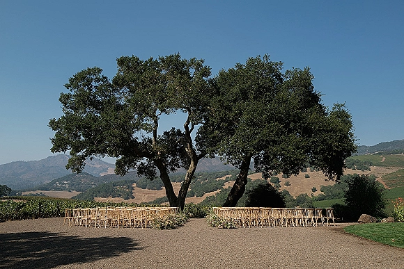 Outdoor ceremony setup with wood chairs and aisle floral arrangements beneath a large oak tree, with vineyard rows and mountains beyond