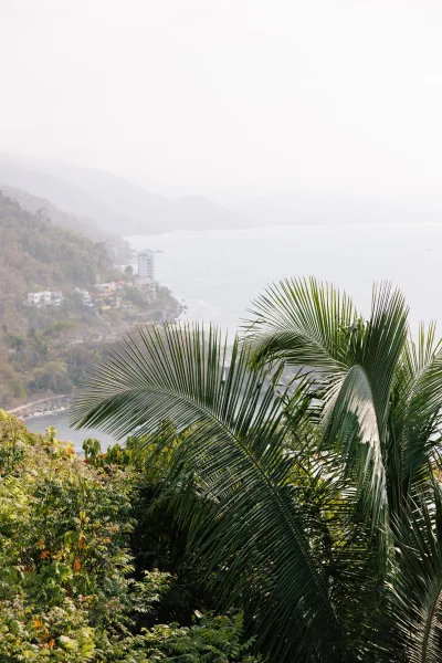 Coastal landscape with a tropical coastline view from a hillside, framed by palm fronds and lush foliage overlooking the hazy ocean and distant buildings