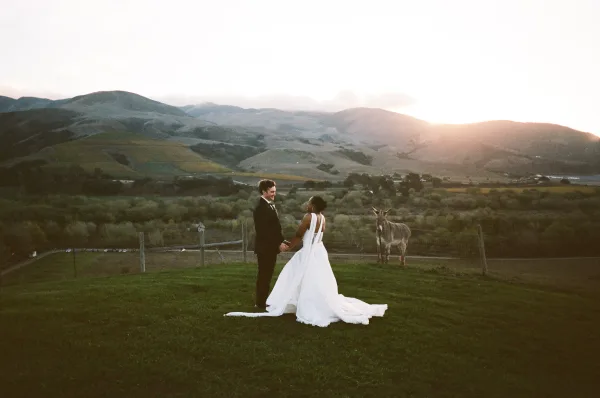 Couple portrait of bride and groom holding hands, veil trailing by a rustic fence on a grassy hill with mountains, sunset, and a donkey