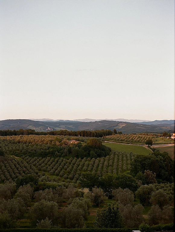 Countryside landscape with an olive grove landscape of rolling hills, winding road, and rustic farmhouses beneath distant mountains and sky