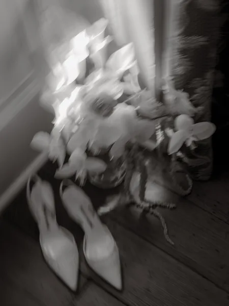 Bridal shoes, pointed toe wedding heels, neatly arranged beside an orchid bridal bouquet, styled with elegant simplicity.
