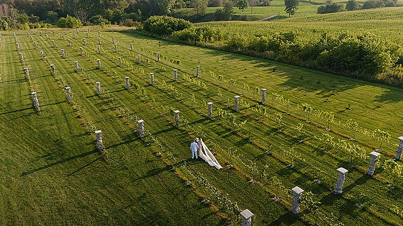 Couple portrait, aerial wedding portrait of bride in wedding dress with long veil and groom in suit walking between vineyard rows and stone posts
