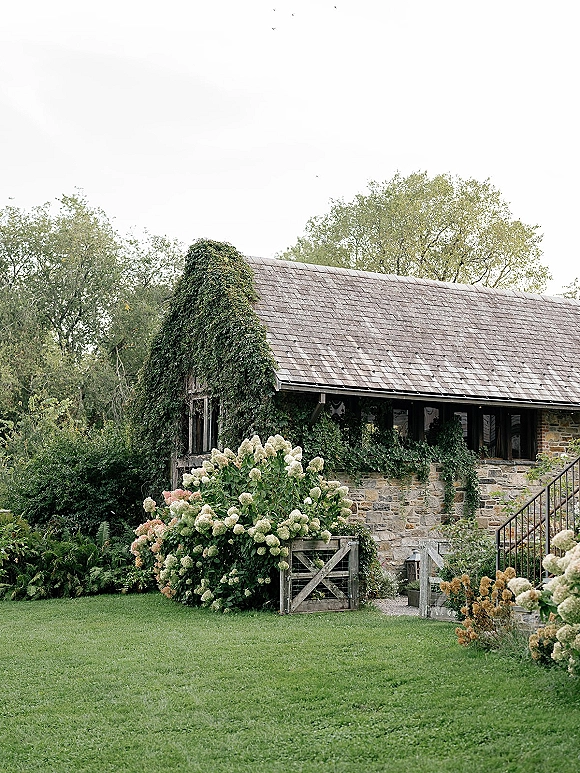 Rustic barn exterior with ivy covered barn walls, hydrangea bushes and a wooden gate beside a stone wall on a green lawn with trees