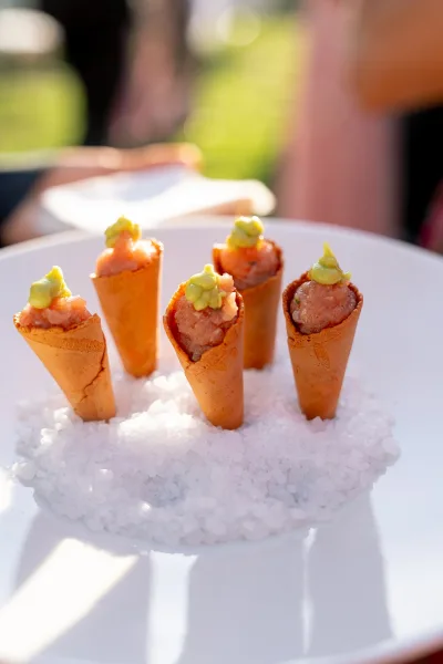 Wedding cocktail appetizers arranged in appetizer cones on crushed ice, garnished bite-size hors d’oeuvres on a platter in sunlight with greenery