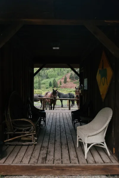 Horses at ranch stand in a barn doorway with rustic barn interior and wicker chair, looking out to mountain hillside and trees