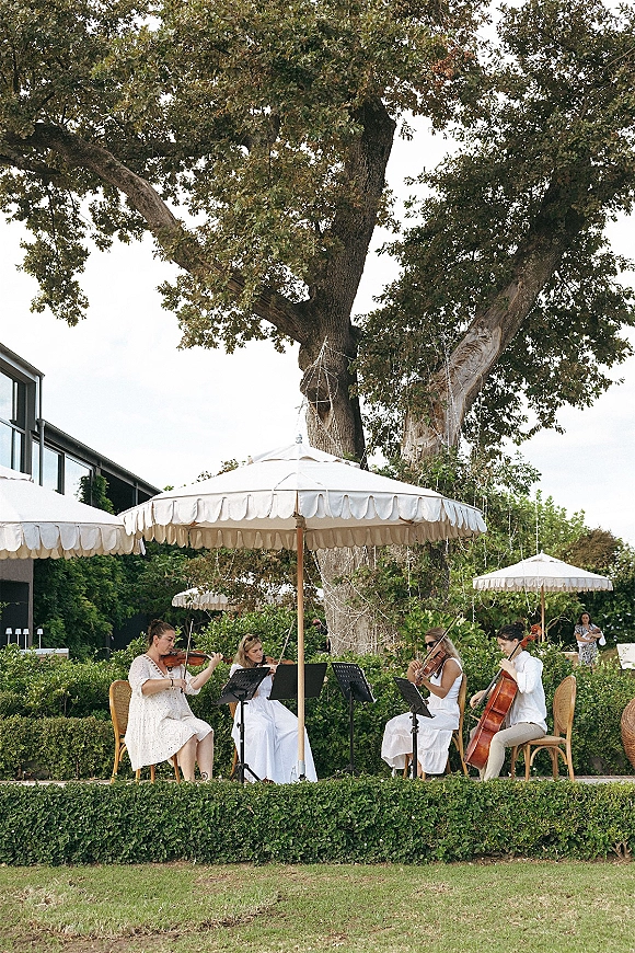 Wedding musicians in a wedding string quartet perform under white parasols with music stands and sheet music on a lawn by an oak tree
