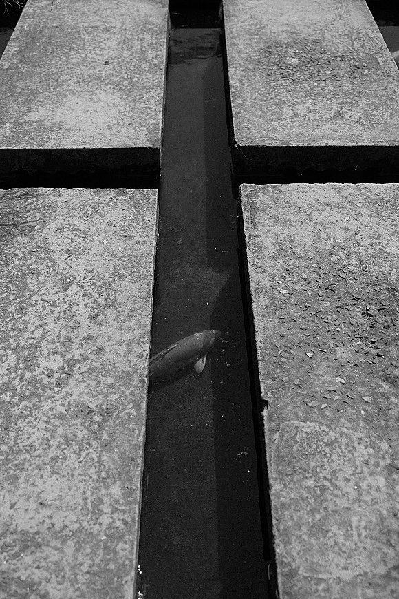 Reflecting pool detail with water running between stone slabs and concrete, captured as a black and white wedding photo at a modern venue