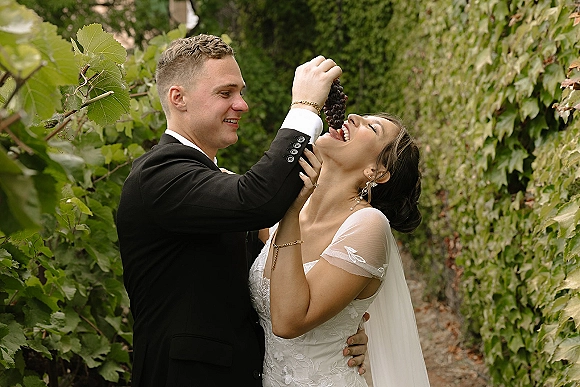 Couple portrait of bride and groom laughing as the groom feeds her grapes, her veil and lace dress framed by vineyard vines