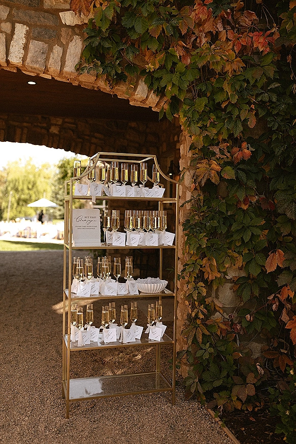 Champagne escort display with escort cards on champagne glasses set on a gold shelf, greenery vines, and signage by a stone archway outdoors