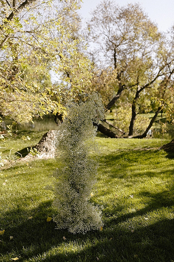 Ceremony floral arrangement of baby’s breath in a low cluster on a grass lawn with trees and a pond in the daylight background