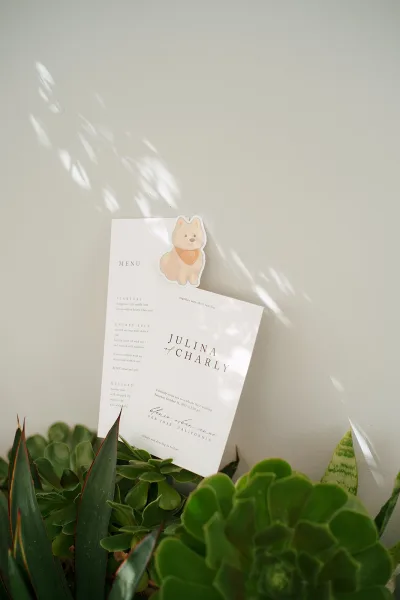 Wedding menu card with minimalist wedding menu typography and a dog illustration, styled beside succulents in natural light with leaf shadows
