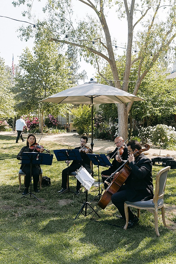 Wedding musicians with a wedding string quartet setup of cello and violins reading sheet music on a garden lawn under string lights