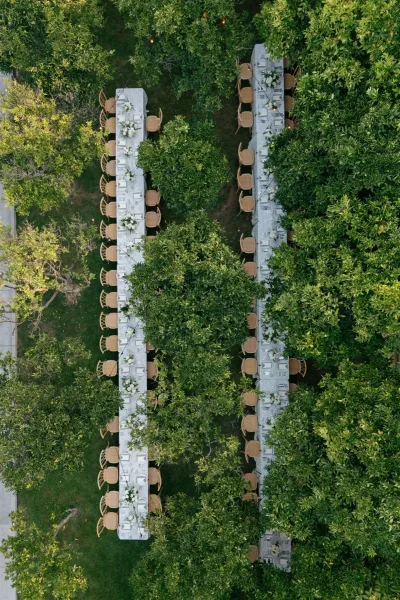 Outdoor reception tables set with white linens, wooden chairs, and white floral centerpieces under string lights in an orchard lawn setting