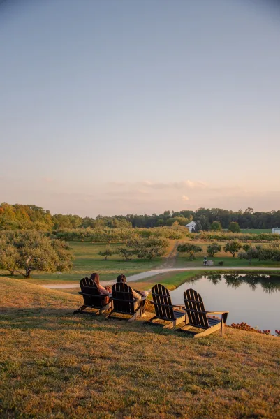 Couple portrait at sunset in Adirondack chairs, backs turned, overlooking a pond beside orchard trees and a distant farmhouse