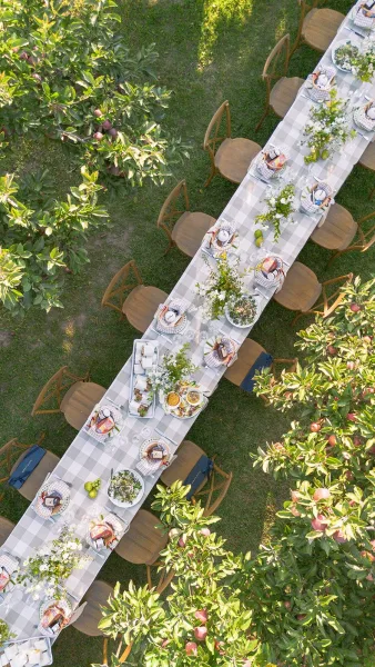 Outdoor wedding tablescape with a long gingham-covered garden banquet table, floral centerpieces and fruit on a sunlit orchard lawn