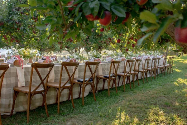 Reception tablescape outdoor reception table with check tablecloth, ribboned napkins and floral garland on a long banquet table in an apple orchard
