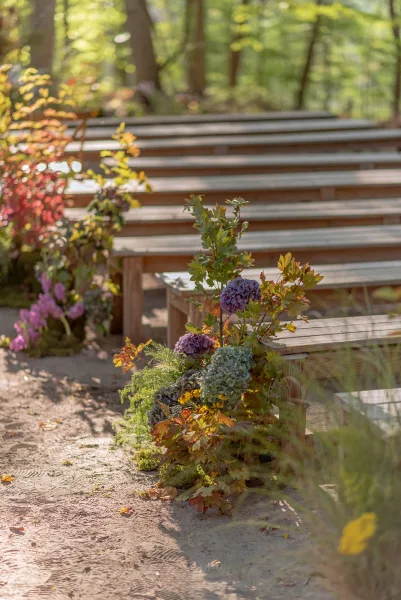 Ceremony aisle decor with outdoor ceremony benches lined by hydrangea and greenery, autumn leaves scattered on a sunlit forest path