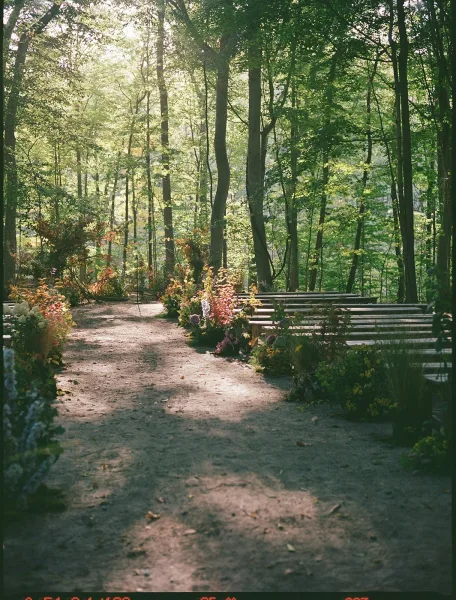 Outdoor ceremony setup with wood benches and wildflower arrangements lining a dirt path aisle through sunlit forest trees