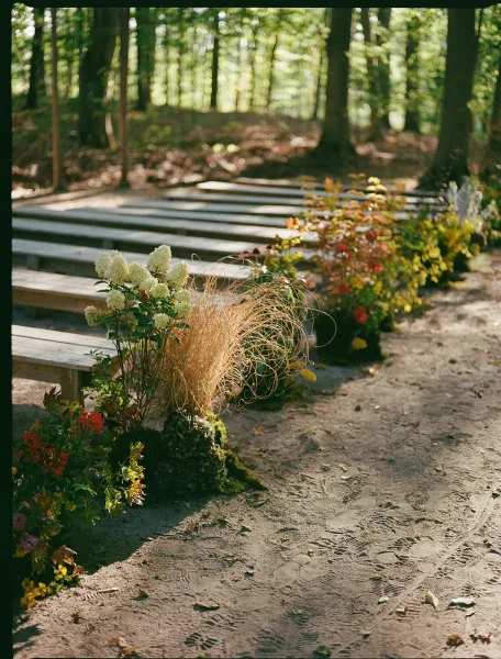 Ceremony aisle decor with moss accents lining a sunlit outdoor ceremony aisle, framed by wooden benches and forest trees