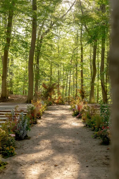 Ceremony aisle decor with wildflower ground arrangements and wooden benches along a sunlit woodland path beneath forest trees