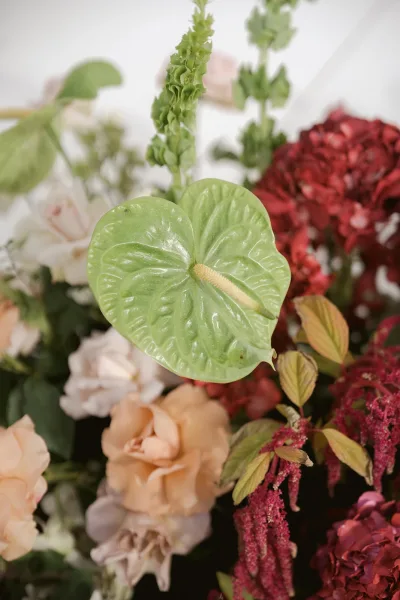 Wedding floral arrangement with green anthurium bouquet, blush roses, red hydrangea, and burgundy amaranthus against a white backdrop