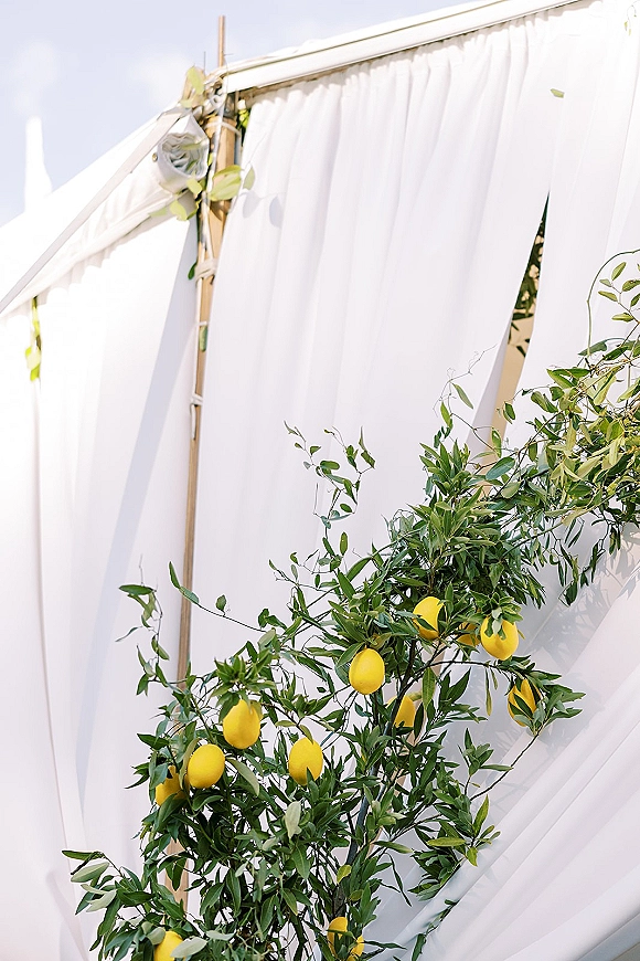 Wedding drapery decor with white draped wedding backdrop on wooden poles, greenery garland and lemon branches against a bright sky