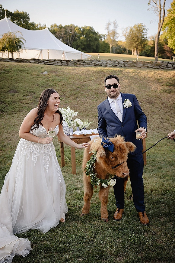 Wedding couple portrait with bride and groom with cow, bride holding a wine glass and bouquet on a grassy hill by a white tent