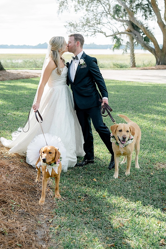 Wedding kiss portrait of bride and groom kissing with two dogs on leashes, bride in veil and groom in tuxedo on a waterfront lawn