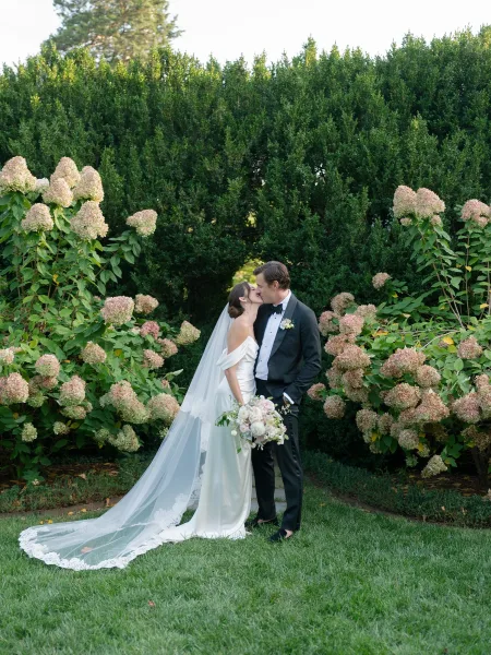 Wedding kiss portrait, a hydrangea garden portrait with the bride in a long veil as the groom leans close amid blooming hydrangeas.