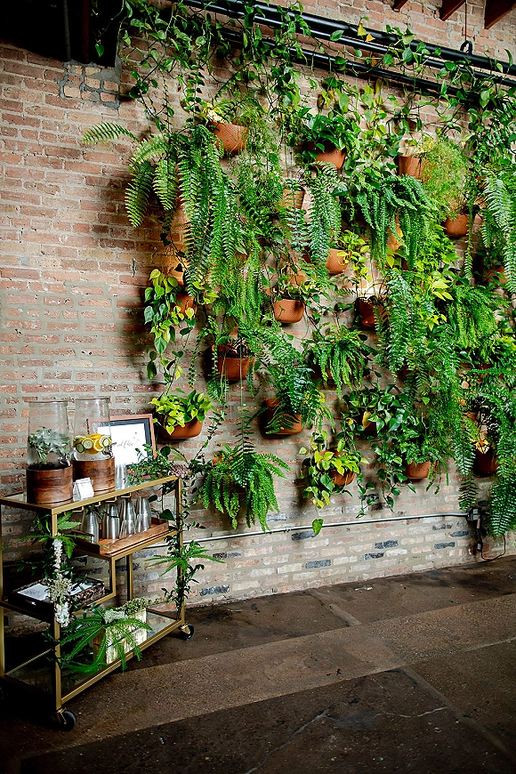 Wedding greenery wall with hanging fern wall decor, terracotta pots and trailing vines, plus a brass bar cart drink station on brick backdrop