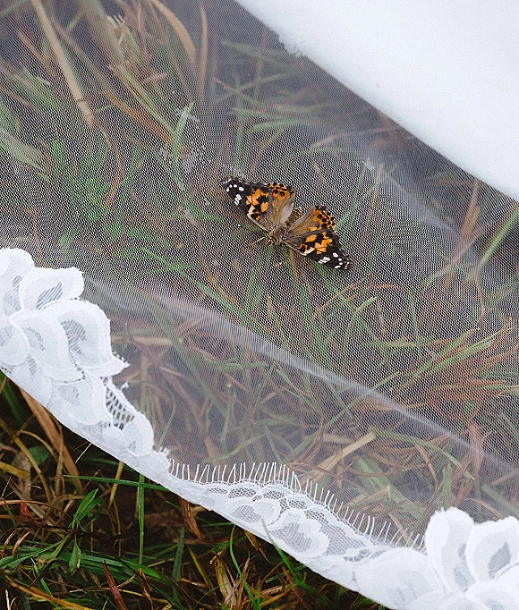 Wedding veil detail with a lace edge spread on grass, showing delicate tulle texture along the scalloped hem