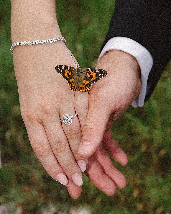 Wedding ring close-up with an engagement ring photo showing a diamond halo on manicured hands, tennis bracelet and butterfly over green grass background