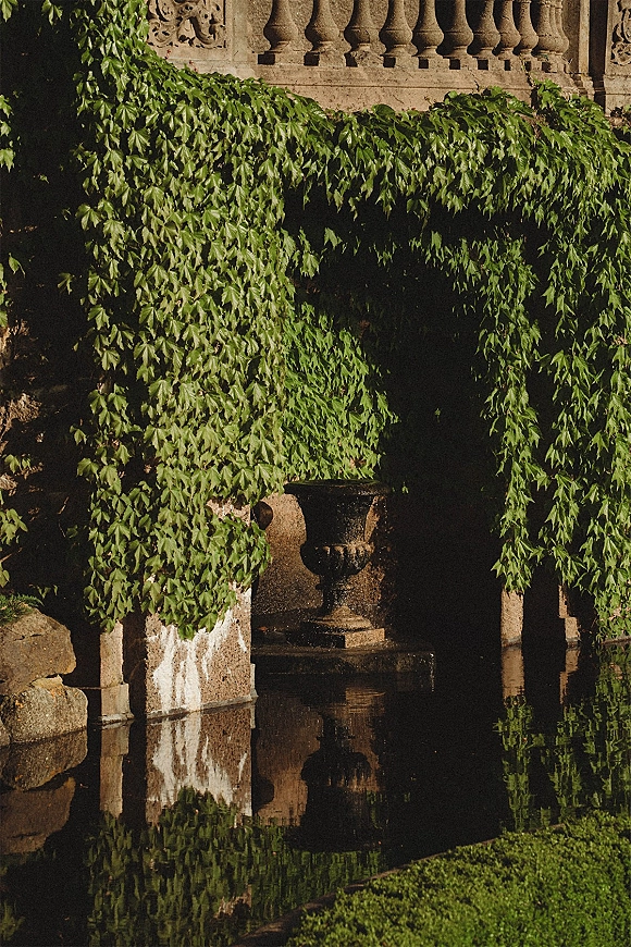 Garden fountain with a stone urn fountain, ivy vines draping a sunlit stone wall beside a reflecting pool and formal hedges