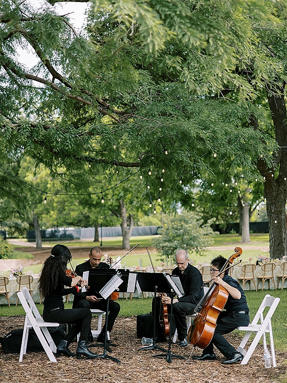 Wedding musicians performing string quartet wedding with string instruments and sheet music under a tree canopy with white chairs and string lights