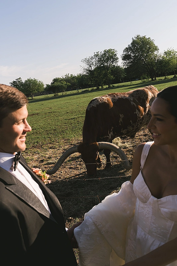 Couple portrait in a rustic wedding portrait, bride in puff-sleeve gown and groom in tuxedo laughing by a pasture fence with a cow