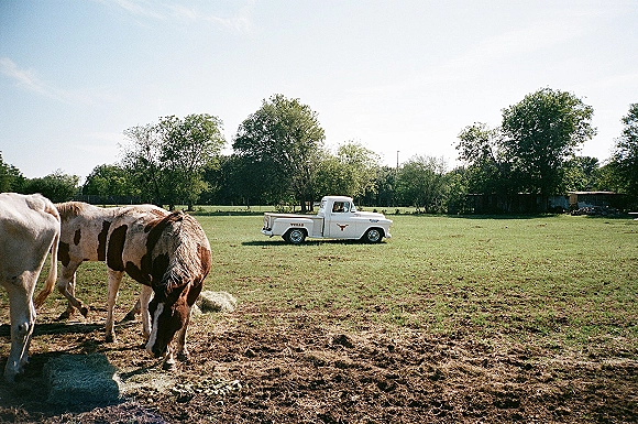 Rustic getaway car, a vintage white pickup truck parked in a pasture field with horses, trees, and farm buildings under blue sky