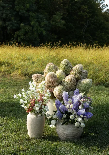 Ceremony florals with hydrangeas in ceramic vases and a stone urn, accented by delphinium on a grassy meadow aisle with trees