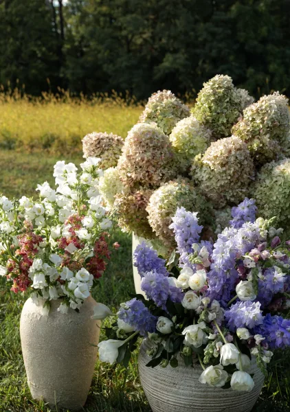 Wedding floral arrangements in ceramic vases lining the ceremony aisle, with hydrangeas, delphinium, and greenery in a sunny meadow