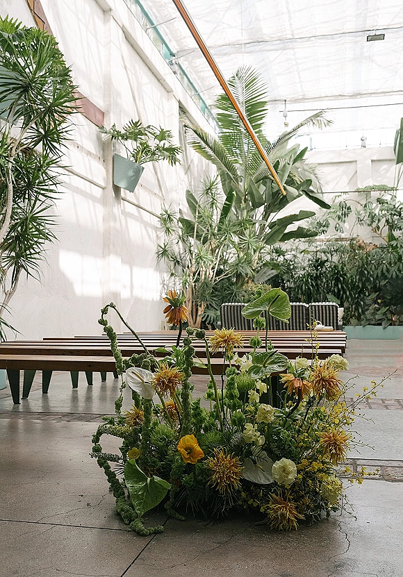 Ceremony floral arrangement with tropical leaves, yellow blooms and white anthurium on concrete aisle beside wooden benches in a greenhouse