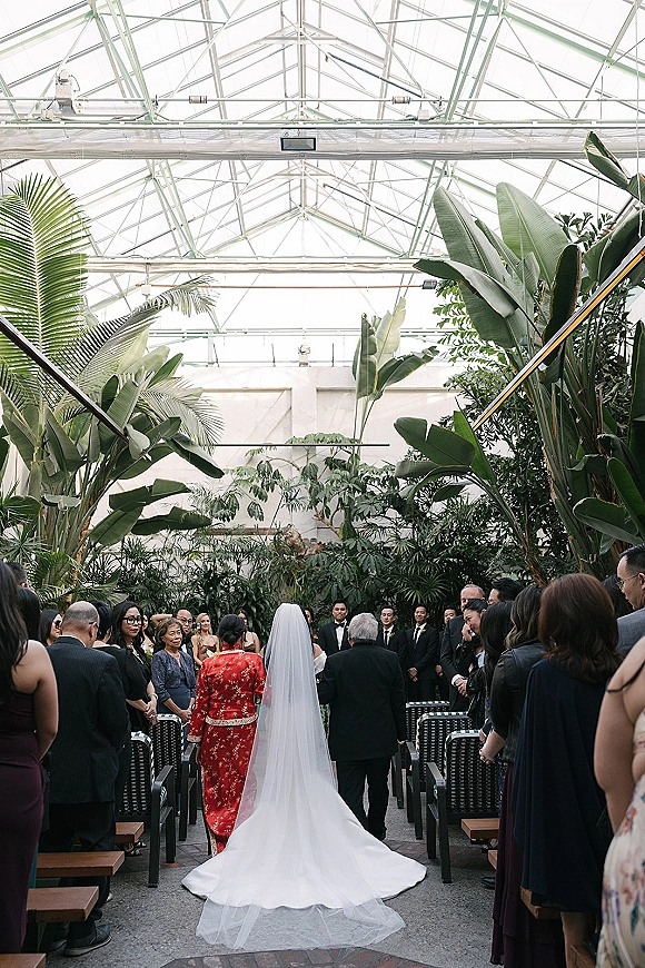 Wedding processional as bride walking down aisle from behind, cathedral veil trailing past chairs in a tropical greenhouse under glass ceiling