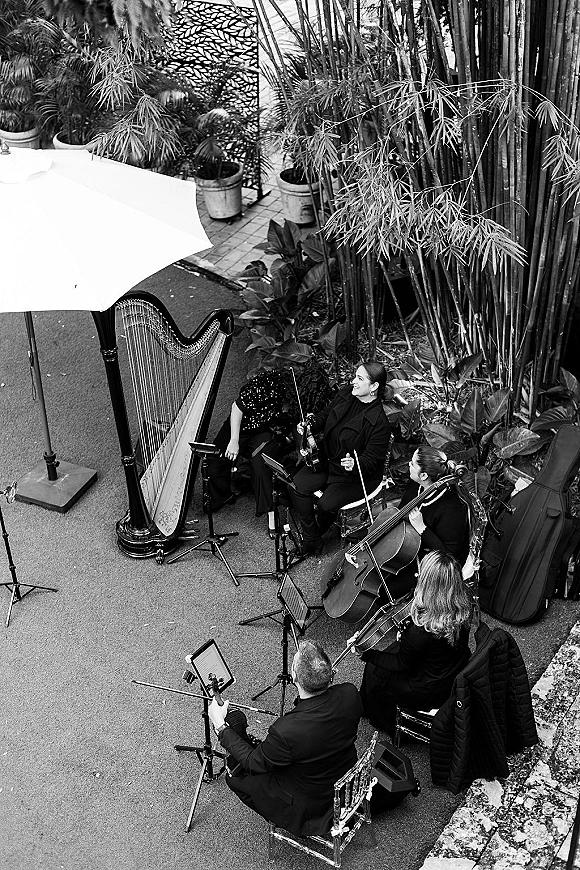 Wedding ceremony musicians in black attire seated with a harp accent, violin and cello in a bamboo-filled courtyard with music stands