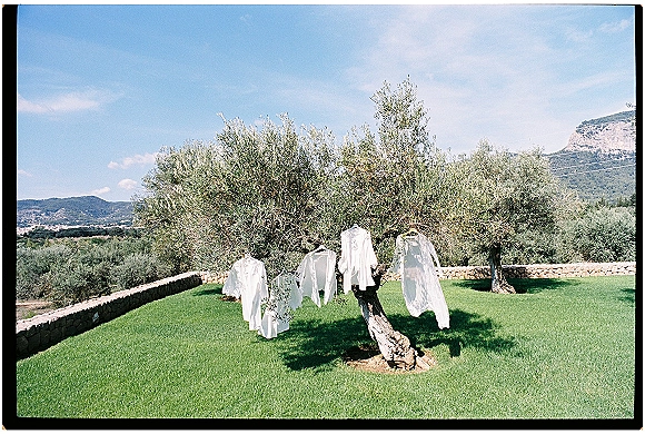 Wedding attire hanging with a wedding dress hanging in tree, white shirts on hangers beneath an olive tree by a stone wall and hills