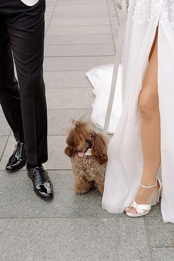 Wedding dog photo of a couple with dog wedding on a leash, bride’s veil and heels beside groom’s tuxedo shoes on stone pavement