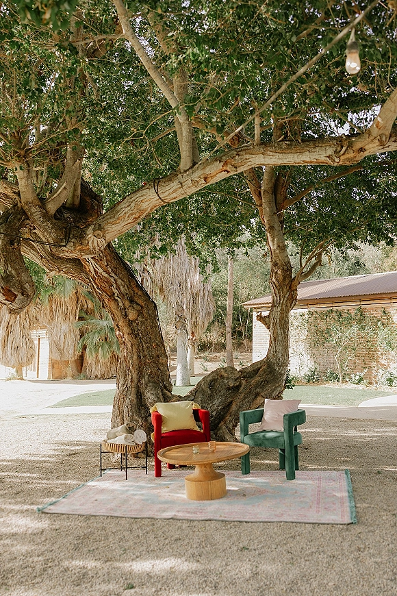 Lounge seating area with wedding lounge furniture, velvet chairs and throw pillows around a round wooden coffee table under string lights by a large tree